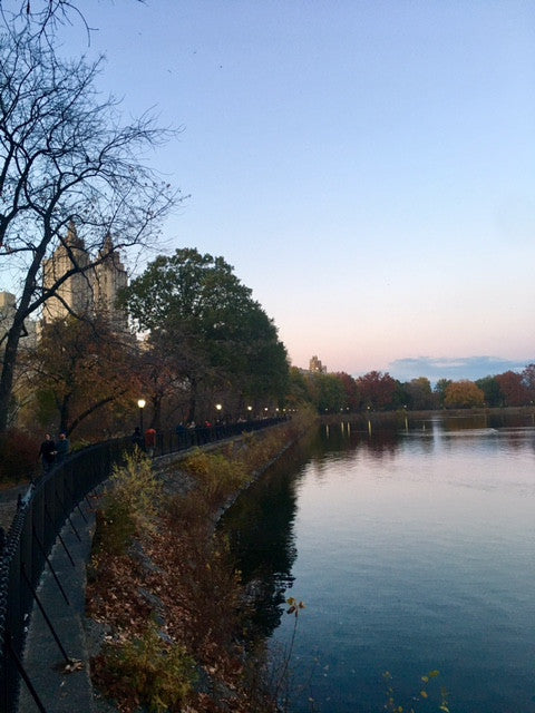 AUTUMN IN THE PARK