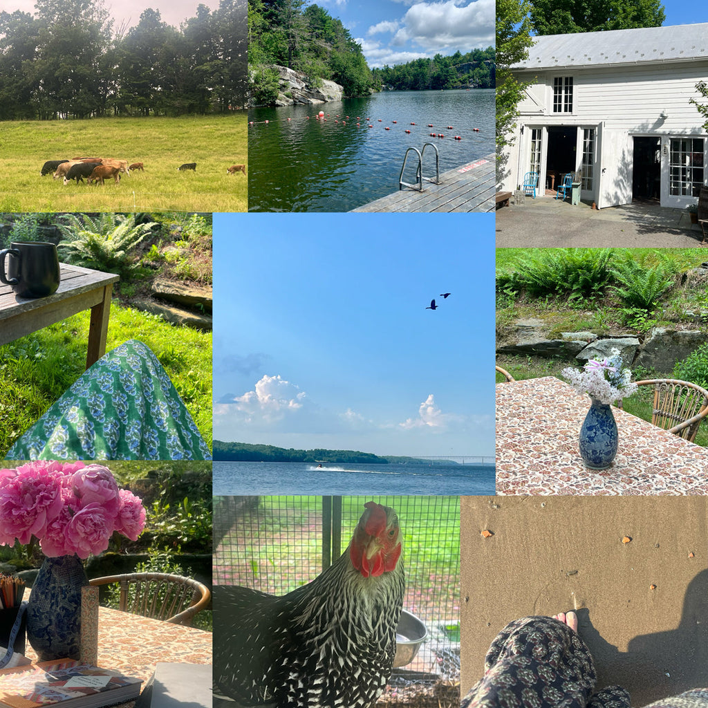 Summer in the Hudson Valley