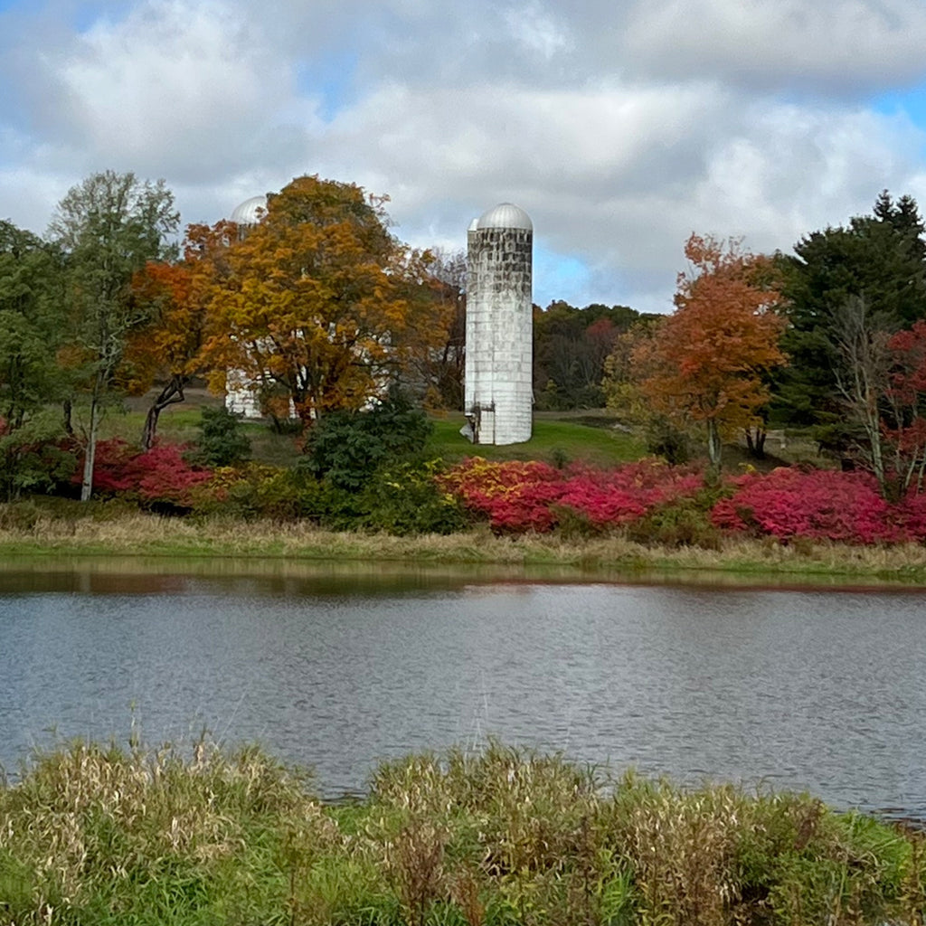 Autumn Upstate