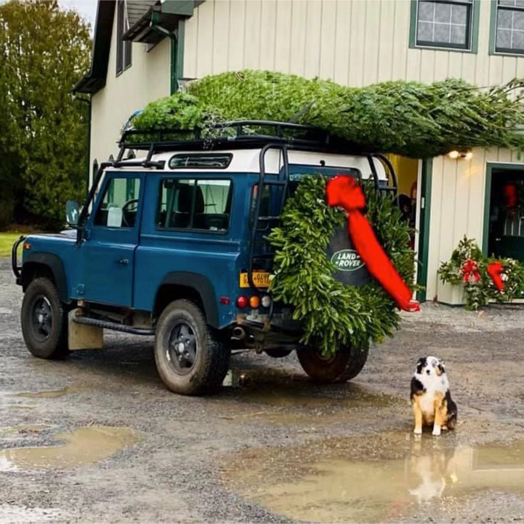 CHRISTMAS TREE SHOPPING IN THE HUDSON VALLEY